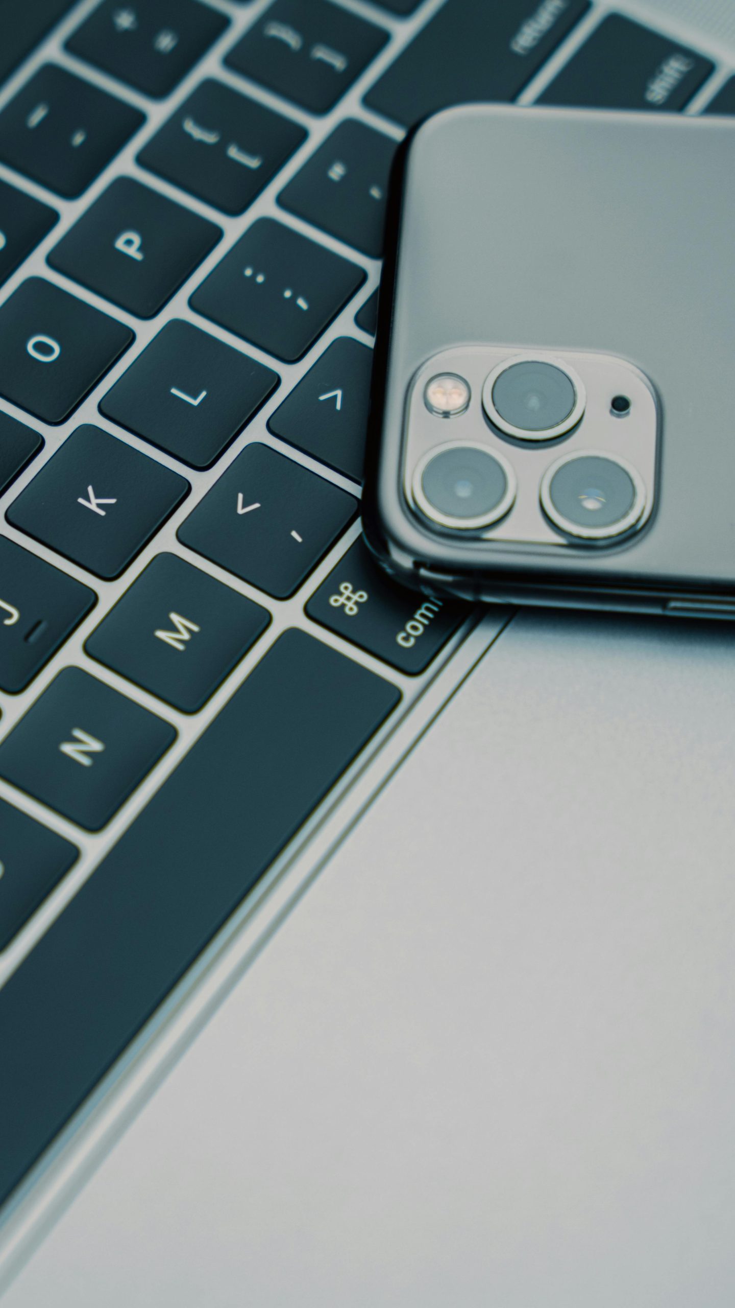 pexels esmihel 18311094